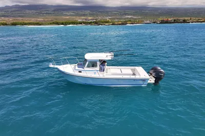 Steiger Craft 28 Hawaii