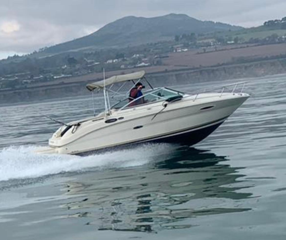 Sea Ray 225 Weekender Usado - Cosas de Barcos