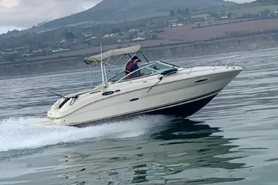 2003 Sea Ray 225 Weekender
