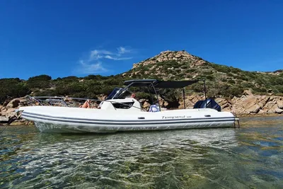2018 Capelli Tempest 900 WA