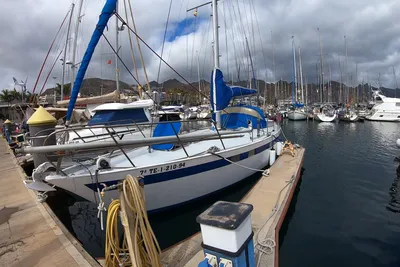 1981 Custom Feltz Skorpion 2