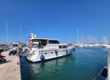 2008 Zijlmans Eagle 1500 Elegance