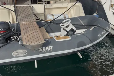 2017 Surmarine 290