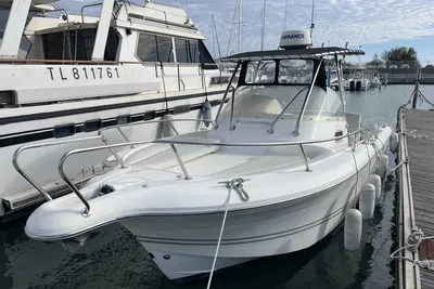 2007 White Shark 248