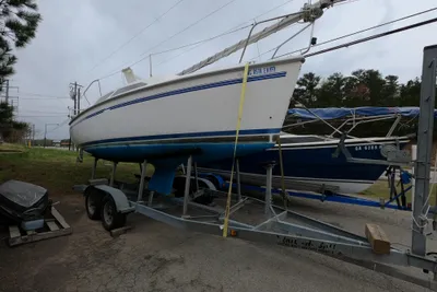 Catalina 250