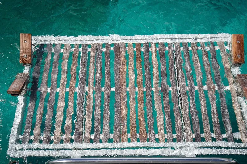 Bluewinds Yacht Photos Pics Deck of 2023 Lagoon 560 S2 yacht with turquoise water background.