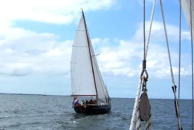 1981 Noordkaper Nk29