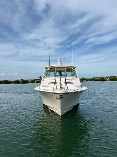 Chase Yacht Photos Pics 