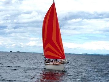 Shannon 28