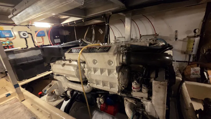 Toes In The Water Yacht Photos Pics 