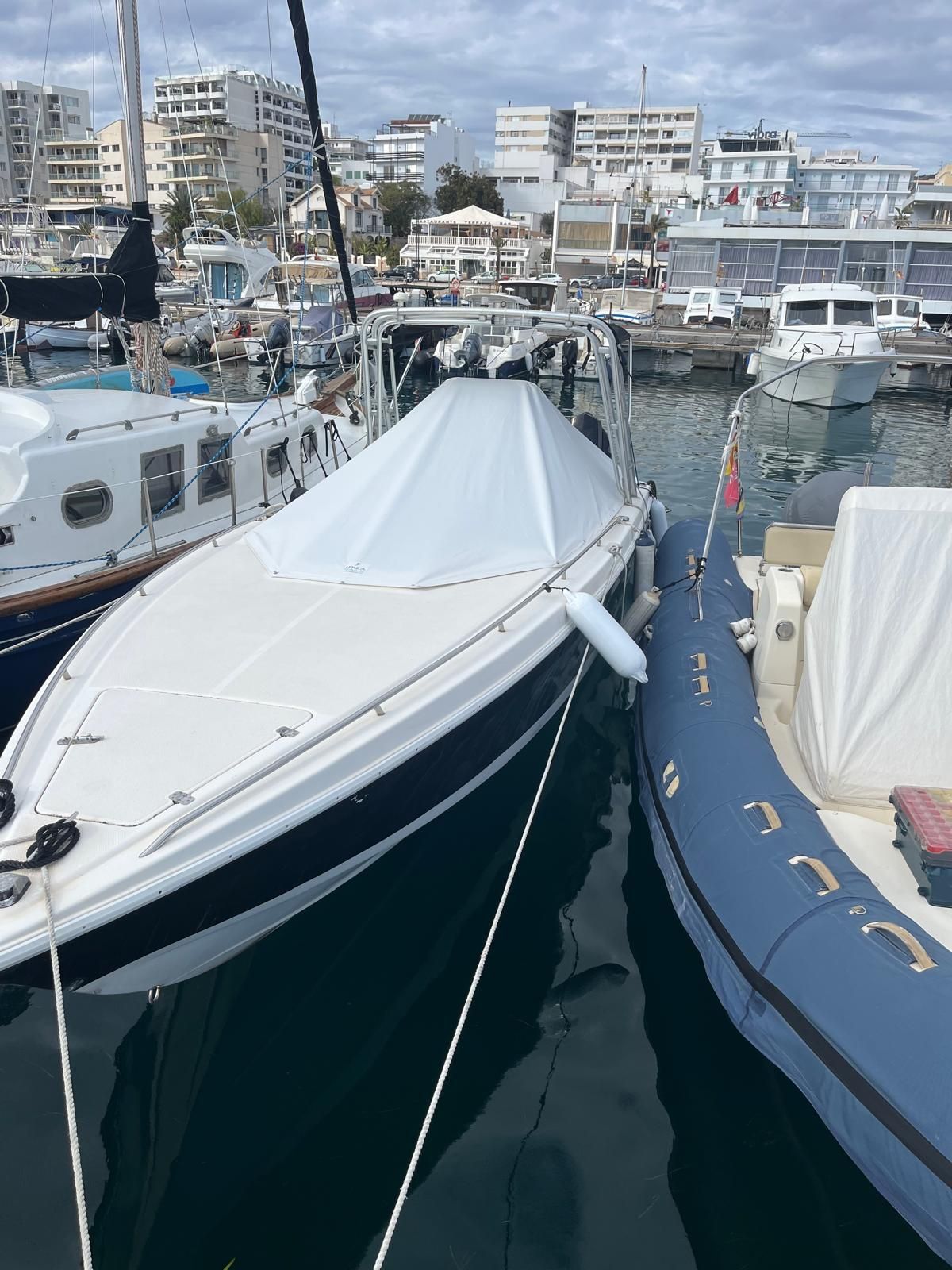 1995 Wellcraft 302 Scarab