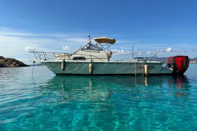 1991 Boston Whaler Revenge 25 walk around Whaler