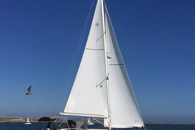 Jenni Yacht Photos Pics 2015 Jeanneau Sun Odyssey 409 sailing on a clear day with seagull overhead.