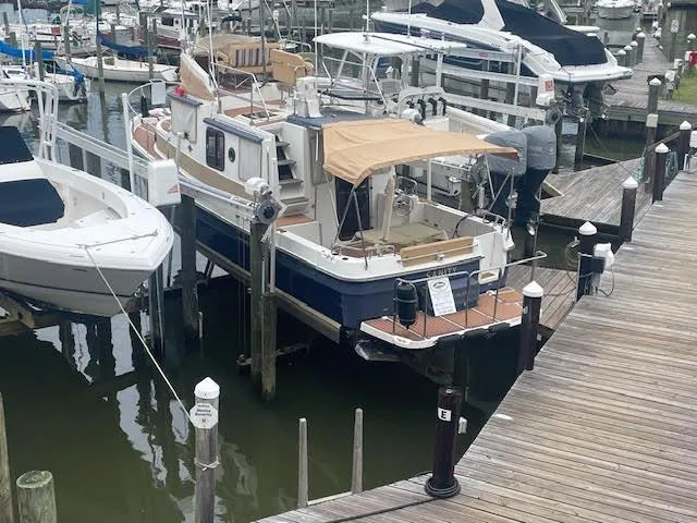 Sanity Yacht Photos Pics 