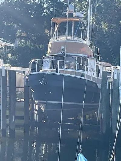 Sanity Yacht Photos Pics 