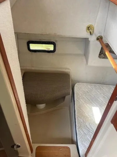 Sanity Yacht Photos Pics 