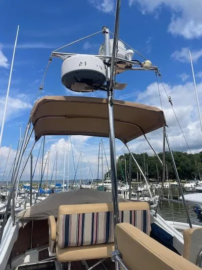 Sanity Yacht Photos Pics 