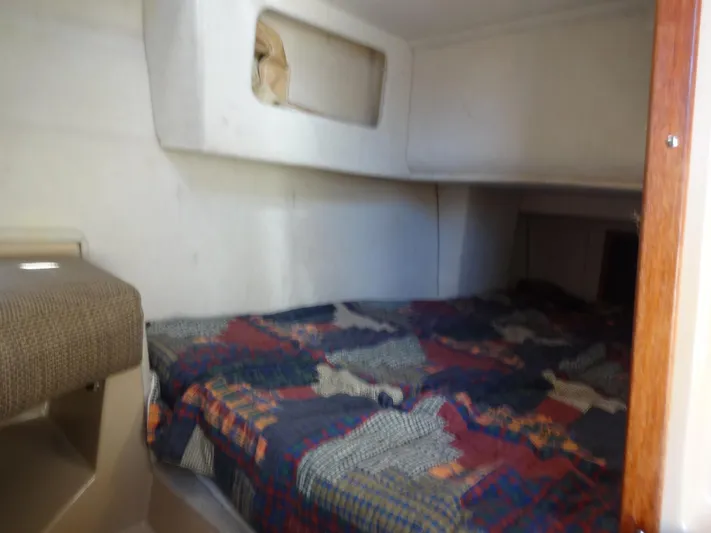 Sanity Yacht Photos Pics 