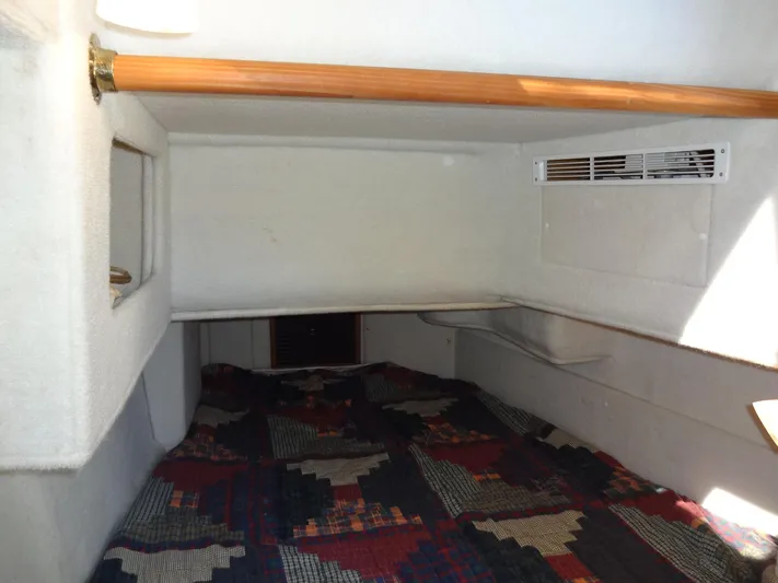 Sanity Yacht Photos Pics 