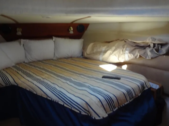 Sanity Yacht Photos Pics 