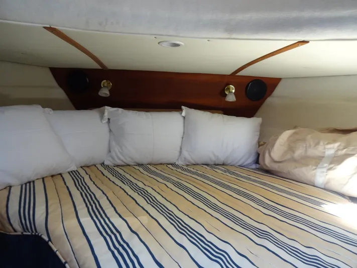 Sanity Yacht Photos Pics 