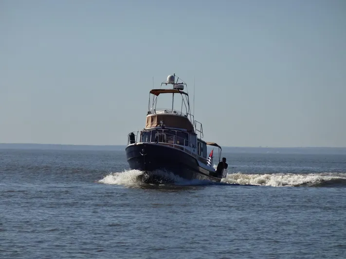 Sanity Yacht Photos Pics 