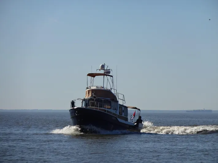 Sanity Yacht Photos Pics 