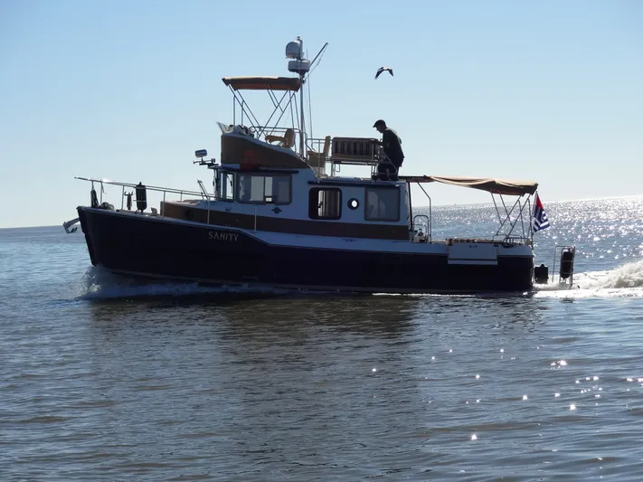 Sanity Yacht Photos Pics 