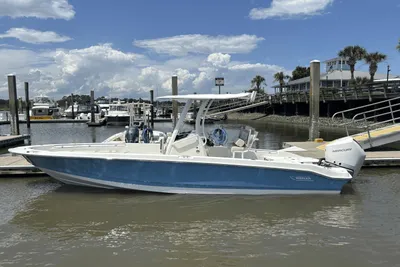 Boston Whaler 250 Dauntless