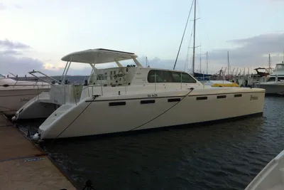 African Cats GreenCat 445