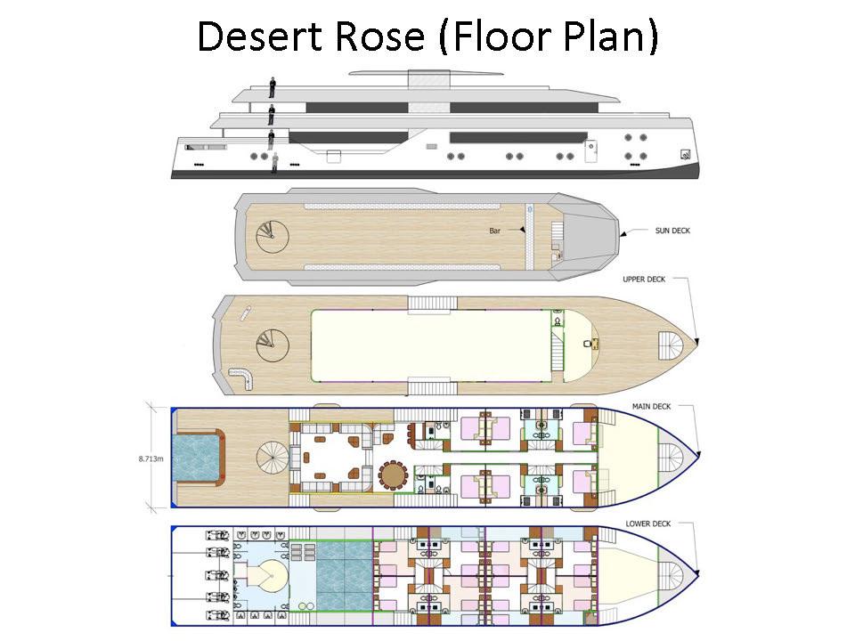2015 Custom Desert Rose