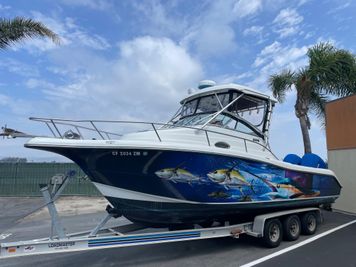 Triton 2690 WA