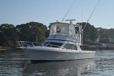 Blackfin 33 Flybridge