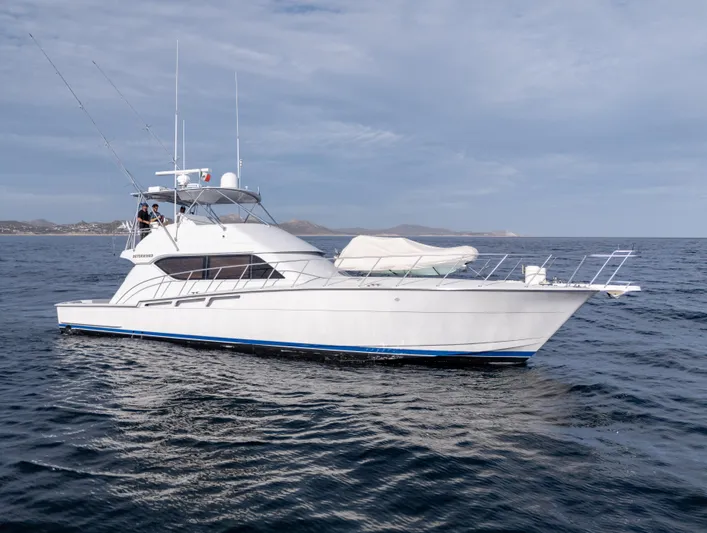 Determined Yacht Photos Pics 