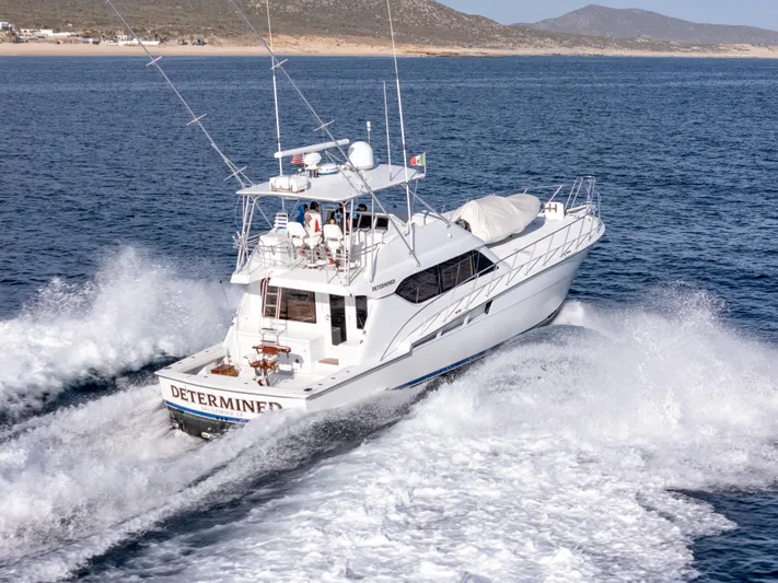 Determined Yacht Photos Pics 
