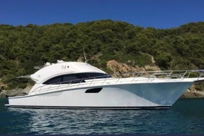 2010 Bertram 540
